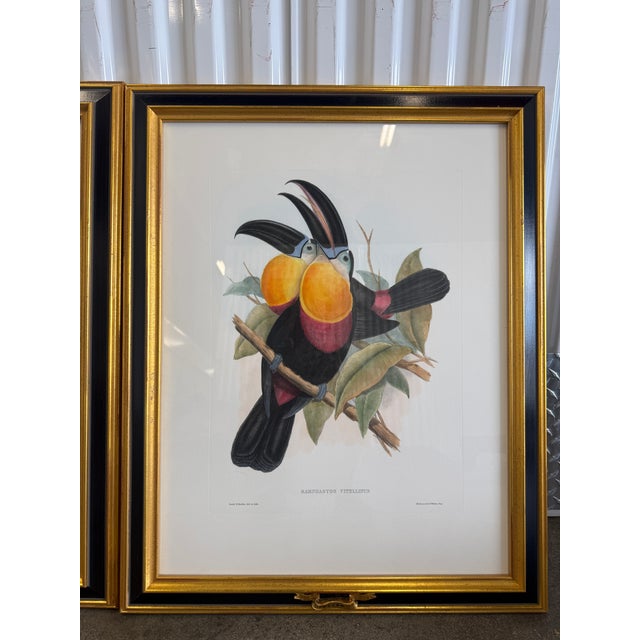 Traditional 1960s Tucan Botanical Prints - A Pair For Sale - Image 3 of 5