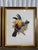 Traditional 1960s Tucan Botanical Prints - A Pair For Sale - Image 3 of 5