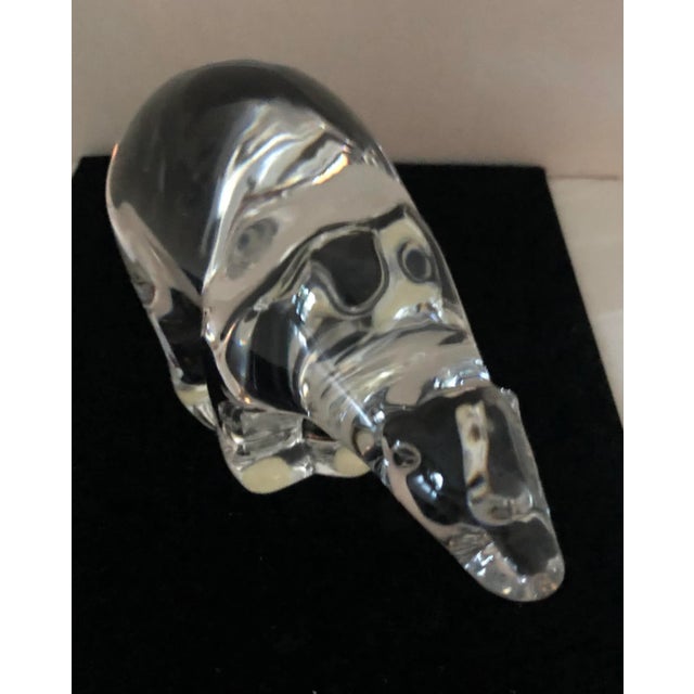 1980s 1980s Baccarat Crystal Polar Bear France For Sale - Image 5 of 8