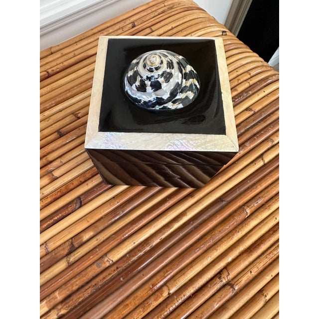 Vintage Gumps Black Penshell Box With Spiral Magpie Seashell For Sale - Image 10 of 10