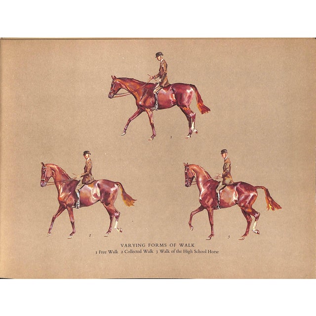 "The Horse in Action" 1954 Wynmalen, Henry For Sale - Image 9 of 9