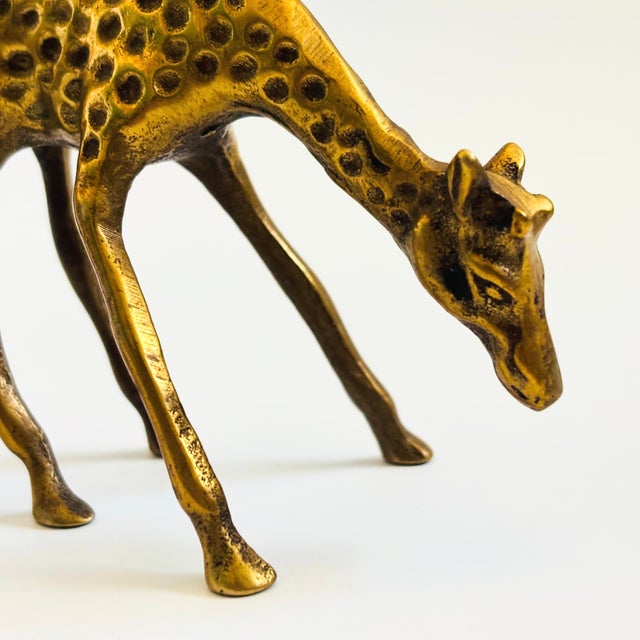 Brass Vintage Brass Giraffes - Set of 2 For Sale - Image 8 of 10