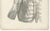 Paper Jules Cloquet, French Anatomical, 1821, Lithograph, Set of 3 For Sale - Image 7 of 10