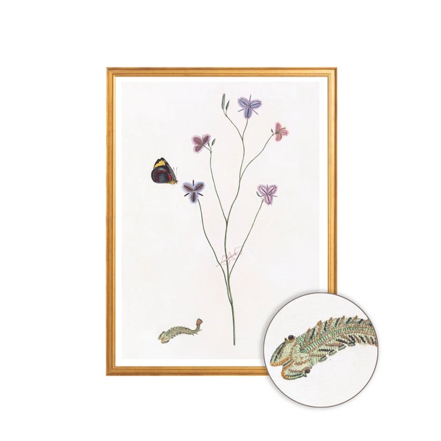 Wood Celerie Kemble Curated Australian Botanical Set of 9 (16X20) in Gold Frame For Sale - Image 7 of 11