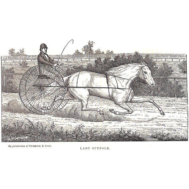 Late 19th Century "The Trotting Horse of America: How to Train and Drive Him" 1874 Woodruff, Hiram For Sale - Image 5 of 7