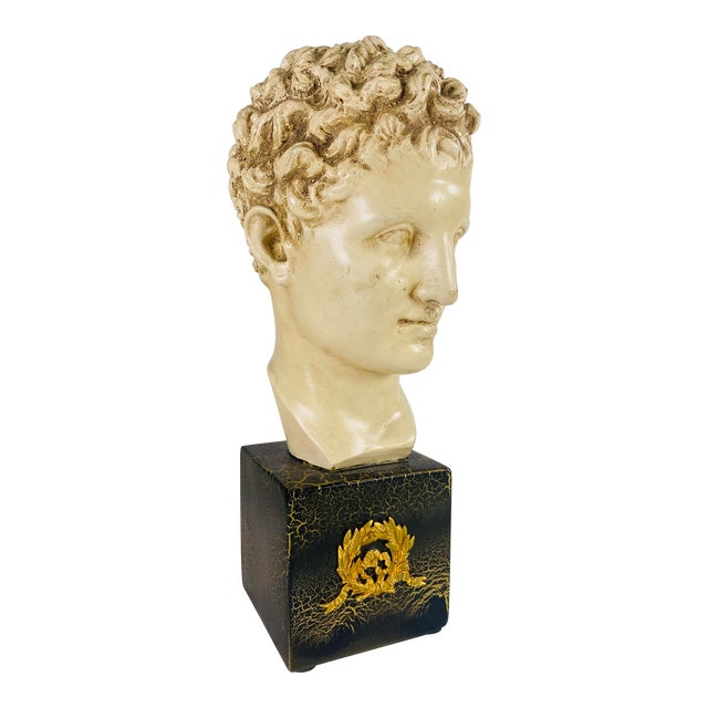 Mid 20th Century Classical Greco Roman Plaster Bust For Sale