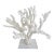 Massive Natural Branch Coral Specimen on Acrylic Base For Sale