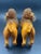 Early 20th Century Pair of Italian Ceramic Spaghetti Poodles For Sale - Image 10 of 12