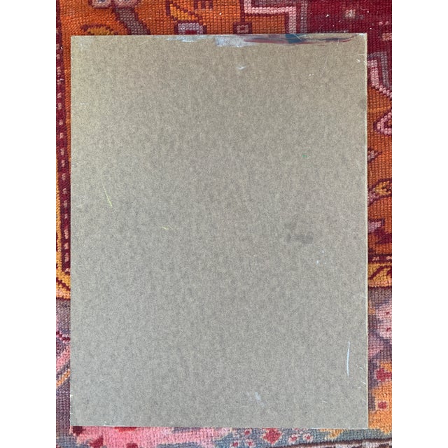 Parrot and Fruit Still Life Oil Painting For Sale - Image 11 of 12