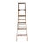 Early 20th Century Werner's Farmhouse Chic, Rustic Plant Stand Display Ladder, 6' For Sale