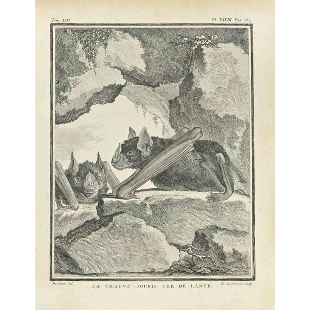 La Chauve is an etching made in 1771 by Louis Legrand (1723-1807). Titled and Signed on the plate. The artwork Belongs to...