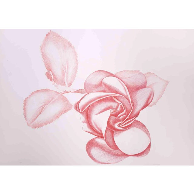 Giacomo Porzano, Red Rose, Original Etching, 1970s For Sale