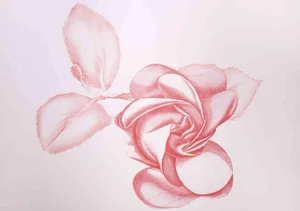 Giacomo Porzano, Red Rose, Original Etching, 1970s