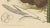 Brown Hoola van Nooten, Salak Palm Botanical, 1880, Chromolithograph For Sale - Image 8 of 10