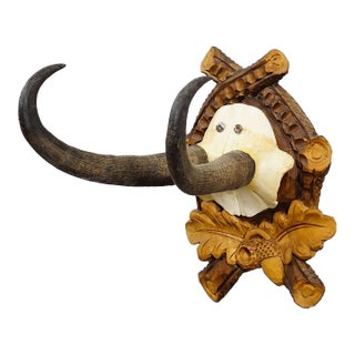 Vintage Chamois Trophy on Carved Plaque, Germany 1950s For Sale