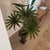 Green Vintage Hollywood Regency Palm Beach Metal Tole Palm Tree Planter For Sale - Image 8 of 12