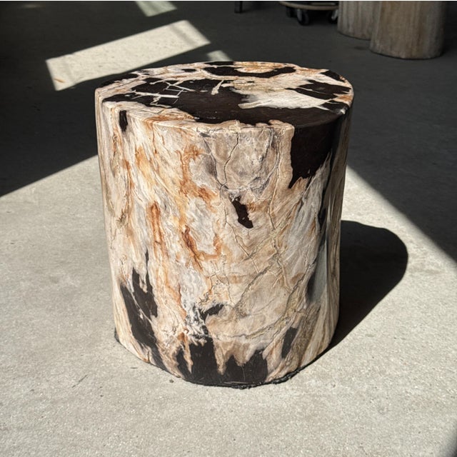 Side Table in Petrified Wood with Black Spots, 1980s For Sale - Image 11 of 18
