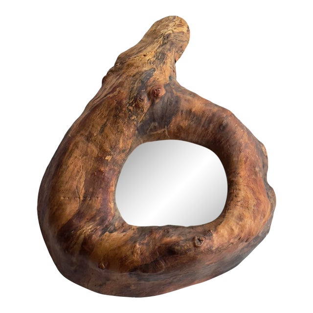 Vintage Abstract Sculptural Postmodern Hand Carved Driftwood Mirror For Sale