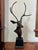 Vintage Bronze Stylized Deer Bust Statue For Sale - Image 10 of 10