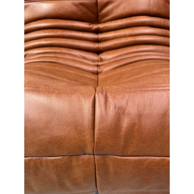 Ligne Roset Togo Lounge Chairs in Cognac Cow Leather attributed to Michel Ducaroy for Ligne Roset, Set of 2 For Sale - Image 4 of 13