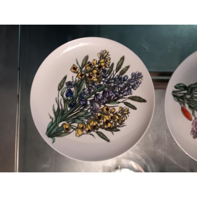 Fornasetti Dishes by Piero Fornasetti, 1970s, Set of 6 For Sale - Image 14 of 18