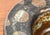 Mid-Century Modern Danish Studio Pottery Bowl by Lisbeth Sallingboe for Jelling Keramik, 1960s For Sale - Image 13 of 18