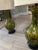 Ceramic Pair of Tall Green Vintage Lamps For Sale - Image 7 of 12
