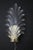 Tall Clear Murano Glass Palm Tree Leaf Sconces, 2000, Set of 2 For Sale - Image 4 of 13