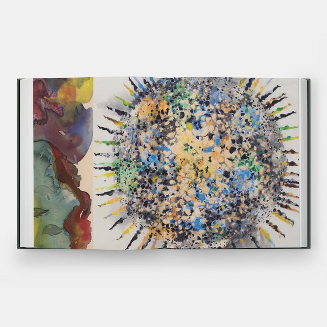 2020s Shahzia Sikander: Collective Behavior Book For Sale - Image 5 of 9