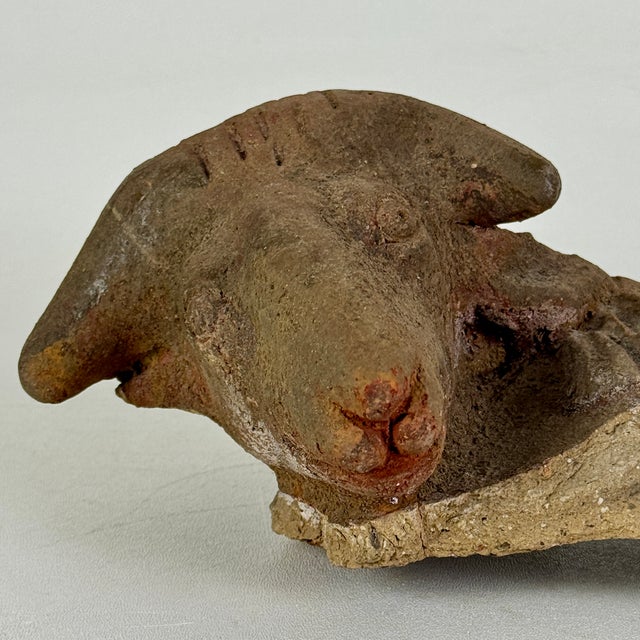 American Vintage Broken Off & Salvaged Terracotta Head of a Ram, Sculptural Decor For Sale - Image 3 of 9