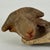 American Vintage Broken Off & Salvaged Terracotta Head of a Ram, Sculptural Decor For Sale - Image 3 of 9
