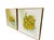 Impressionist Signed Dorothy Malan Original Floral Still Life Paintings – Matched Pair | Michigan Artist | Vintage Impressionist Artwork | Gold & Wood Frames For Sale - Image 3 of 12
