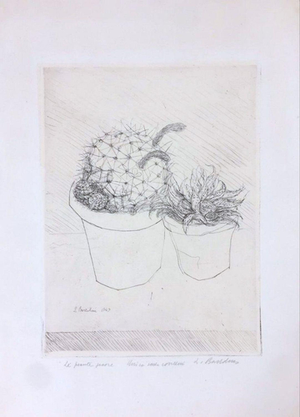 Luigi Bartolini, Succulent Plants, 1949, Etching