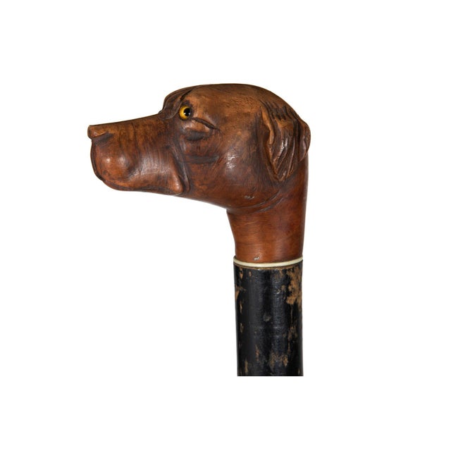 Antique English Carved Folk Art Dog Head Cane Over Ebonized Black Shaft For Sale - Image 6 of 9