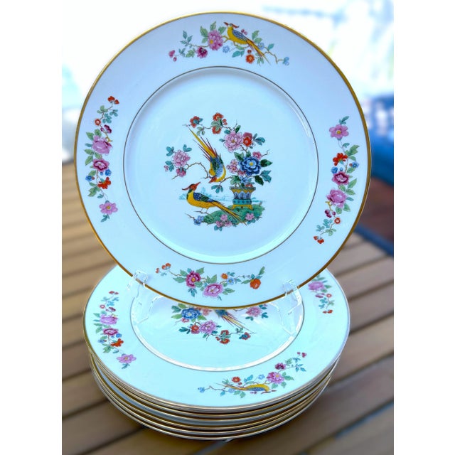 Vintage Lamberton China Audubon Collection - Bird of Paradise - 8 Dinner Plates For Sale In New York - Image 6 of 13