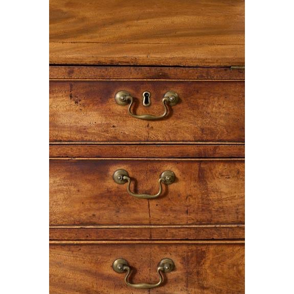 Early 19th Century Astral Glazed Burl Mahogany Bureau Bookcase For Sale In Charleston - Image 6 of 14