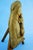 1950s 20th Century Terracotta Sculpture of Madonna and Child by Francesco Prosperi, Assisi, Italy For Sale - Image 5 of 18
