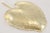 Large 10" Brass Leaf Tray For Sale - Image 4 of 4