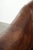 Vintage Sheepskin Club Armchairs, Set of 2 For Sale - Image 12 of 15