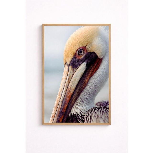 Pelican Portrait Close-Up, Coastal Wildlife Art Print, 24″ × 36″ For Sale In Buffalo - Image 6 of 8