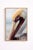 Pelican Portrait Close-Up, Coastal Wildlife Art Print, 24″ × 36″ For Sale In Buffalo - Image 6 of 8
