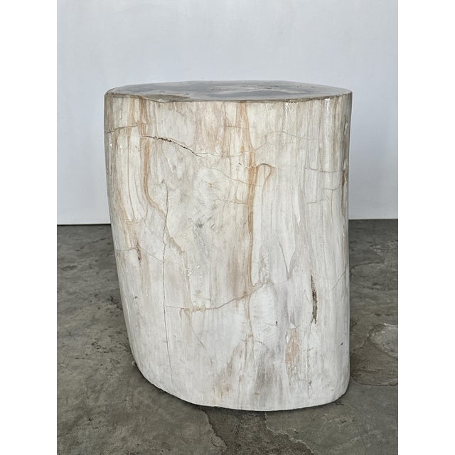Side Table in Petrified Wood For Sale - Image 17 of 18