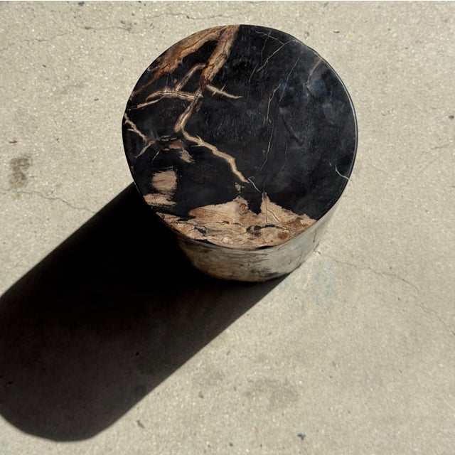 Stone Side Table in Black Petrified Wood with Beige Stripes and Sides For Sale - Image 7 of 18