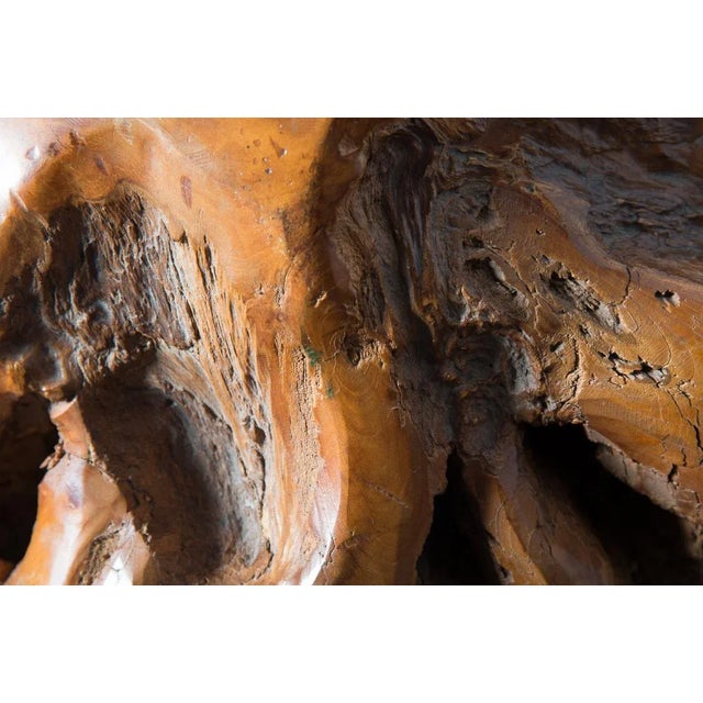 Camel Rare Burl Wood Massive Polished Sphere Sculpture, 21" For Sale - Image 8 of 12