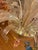 1970s 1970s Italian Style Murano Glass Multicolors With Flowers Chandelier For Sale - Image 5 of 12