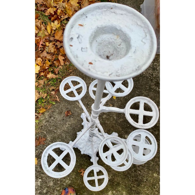 The wonderful Victorian plant tree stand. I’ve had this for about 20 years and I’ve kept it mostly outside with no adverse...