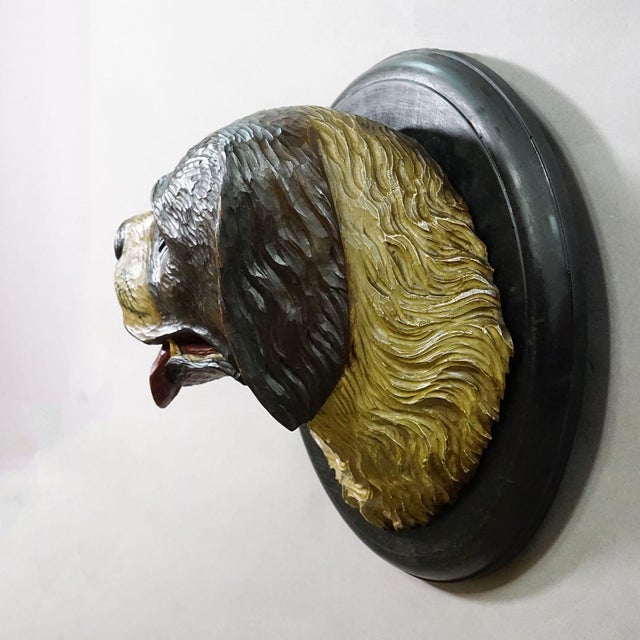 1900 - 1909 Antique Carved Wall Sculpture of a Hunting Dog’s Head, Ca. 1900s For Sale - Image 5 of 7