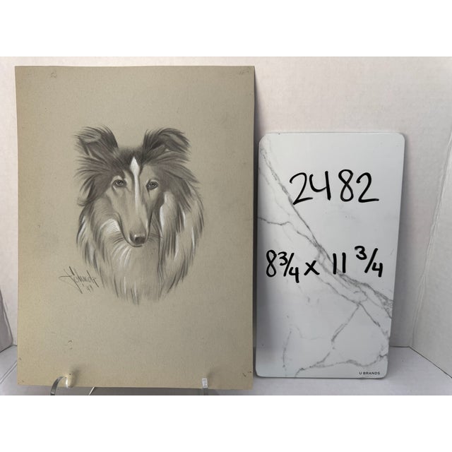 1940s Original Signed Graphite Illustration of Collie Dog Portrait, 11.75 × 8.75 In. For Sale In Atlanta - Image 6 of 6