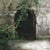 Forgotten Passage captures a weathered, dark door set against a rugged stone wall, partially obscured by creeping vines...