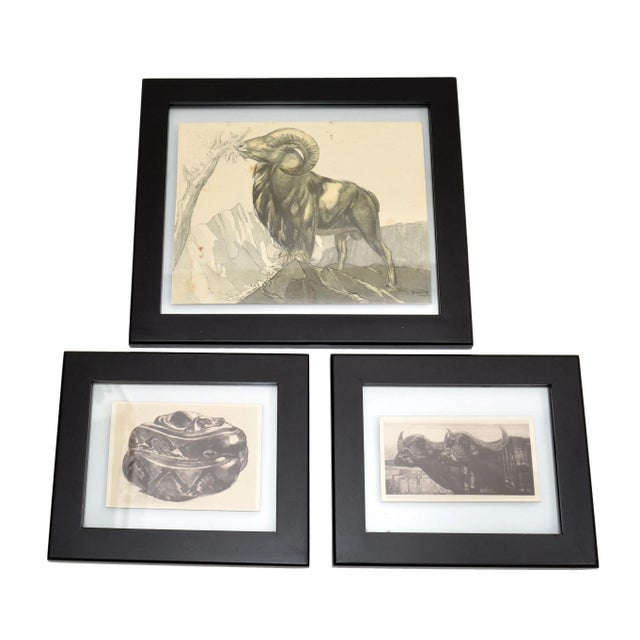 Light Gray Vintage Framed Sketch Grazing Ram Book Peinture Et Dessins De Paul Jouve, 1930 For Sale - Image 8 of 13